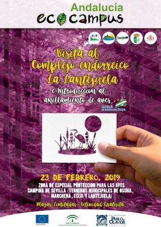 Visita Complejo Endorreico Laguna de la Lantejuela e Introducción al Anillamiento