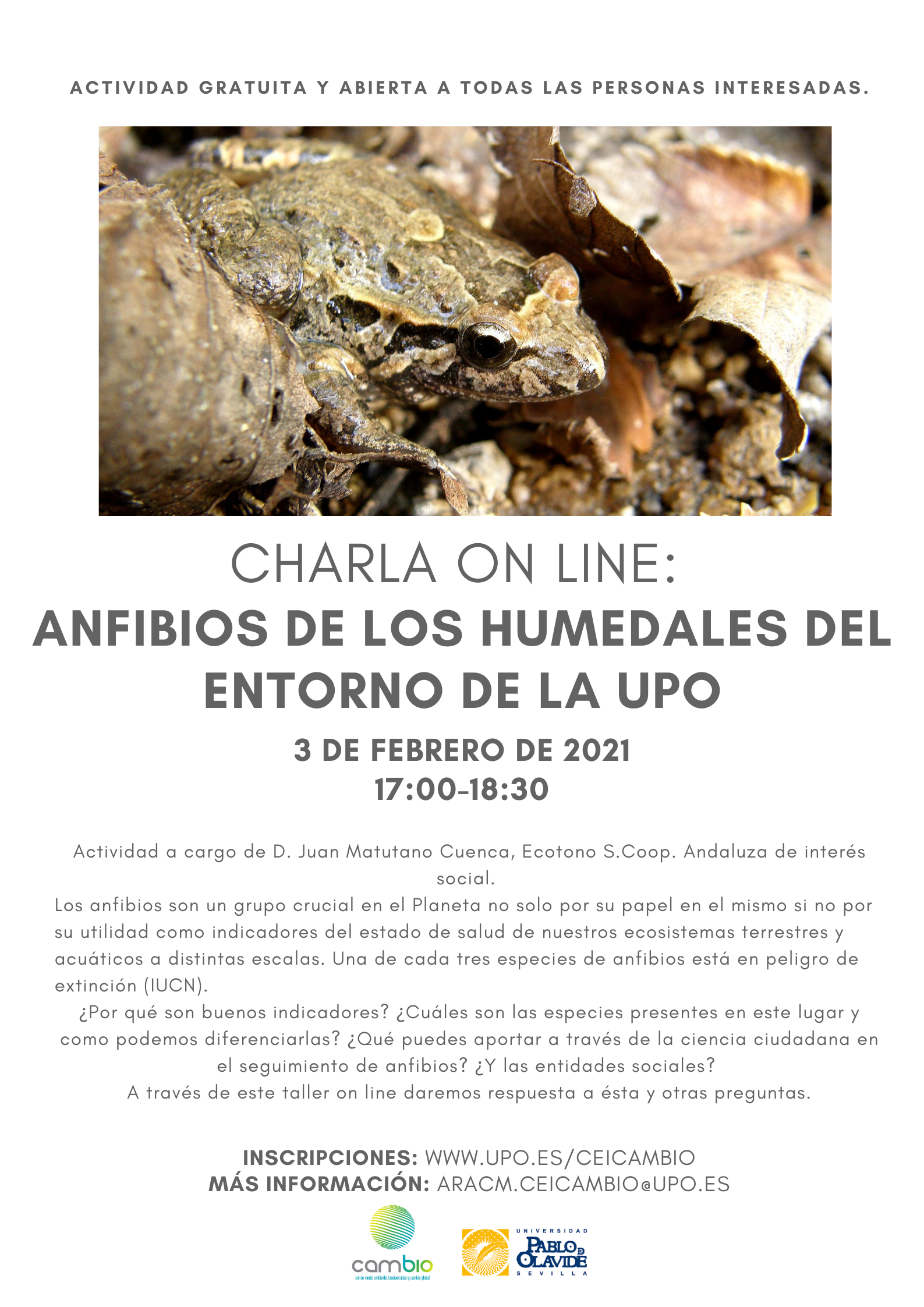 Charla online: Anfibios de los humedales del entorno de la UPO. El 3 de febrero a las 17 horas