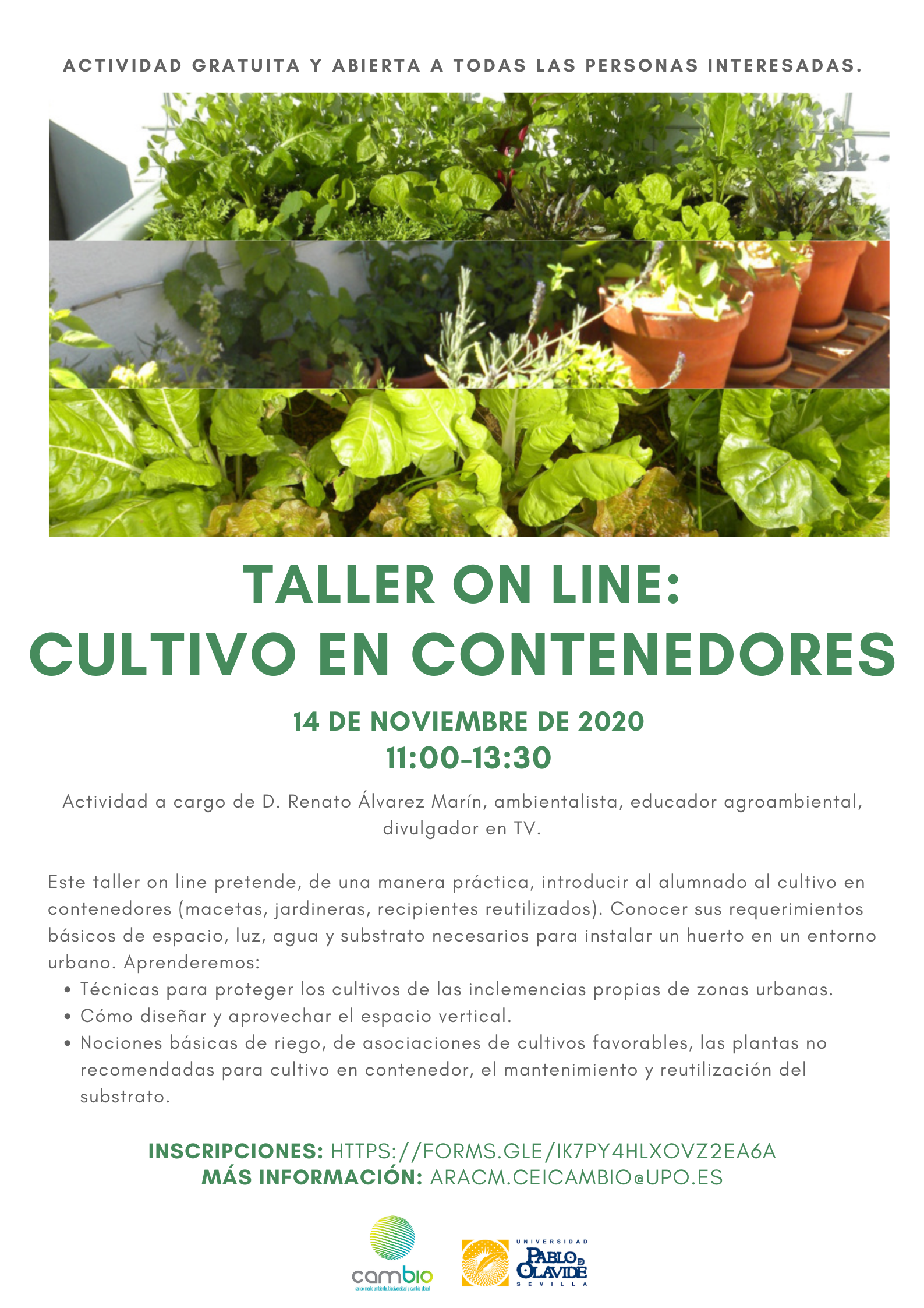 TALLER ON LINE: Cultivo en contenedores: 14 de noviembre